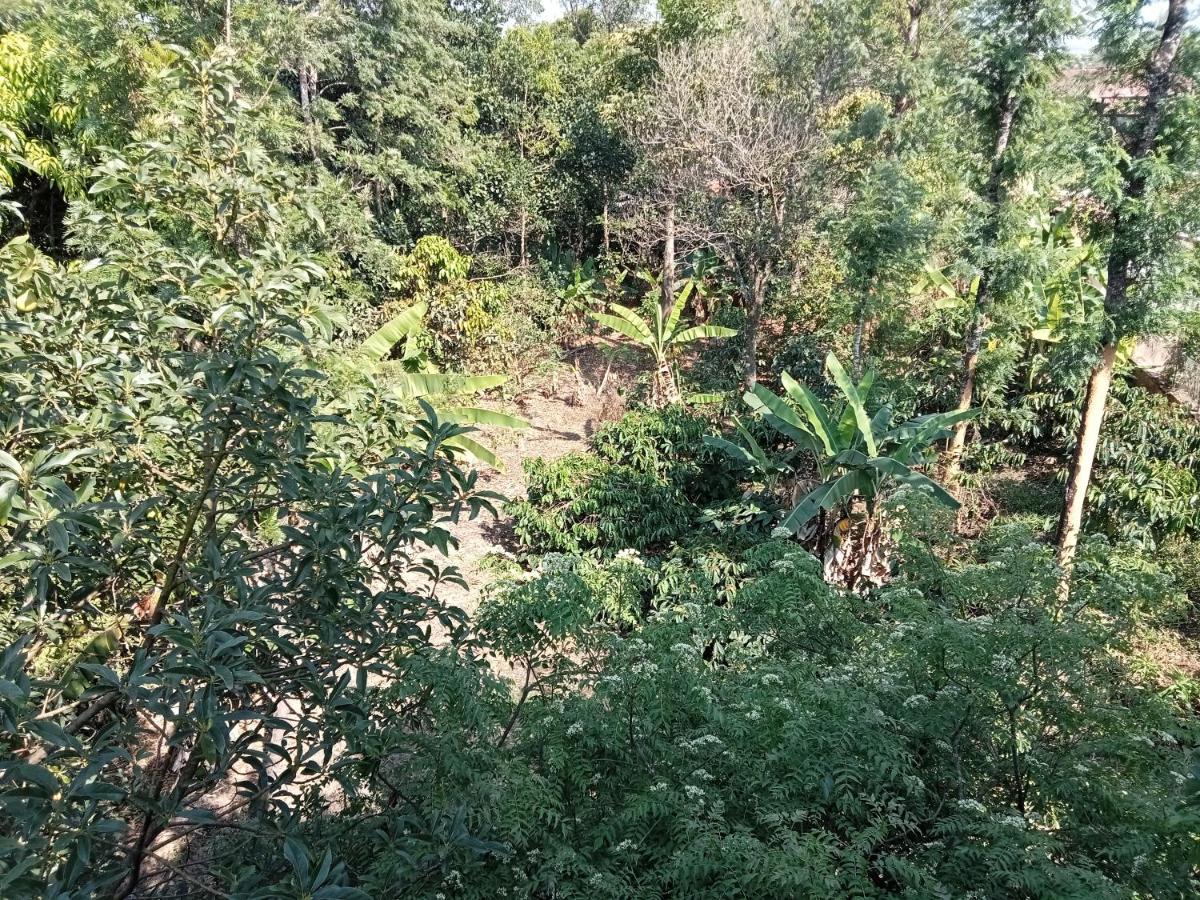 Krupa Homestay Madikeri Exterior photo